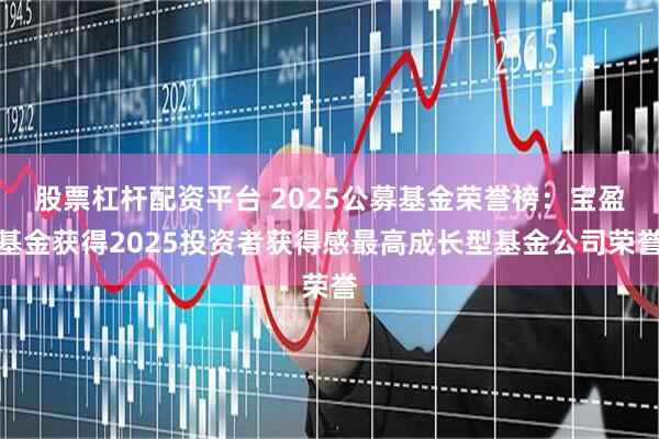 股票杠杆配资平台 2025公募基金荣誉榜：宝盈基金获得2025投资者获得感最高成长型基金公司荣誉