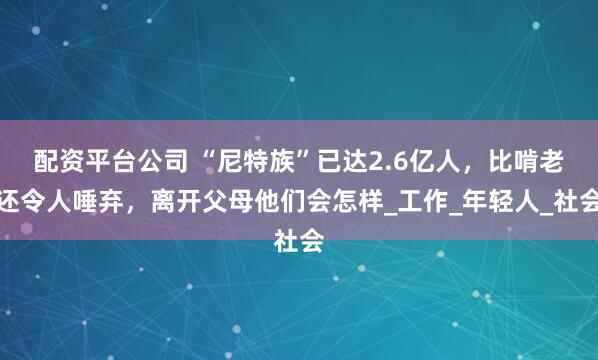 配资平台公司 “尼特族”已达2.6亿人，比啃老还令人唾弃，离开父母他们会怎样_工作_年轻人_社会